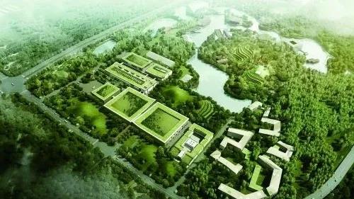 1627969619548712.jpg 13.jpg